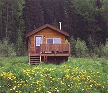 Bear Corner Adventures Bed & Bale Hotel Golden Eksteriør billede