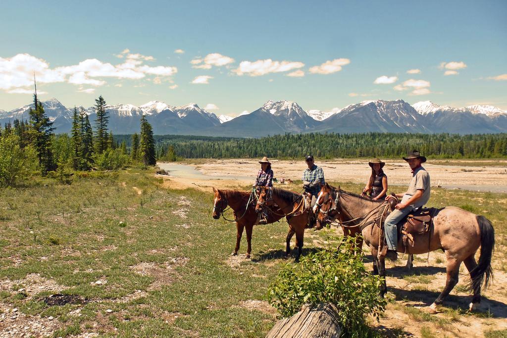 Bear Corner Adventures Bed & Bale Hotel Golden Eksteriør billede