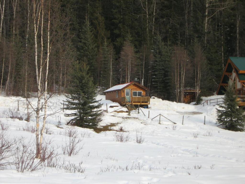 Bear Corner Adventures Bed & Bale Hotel Golden Eksteriør billede